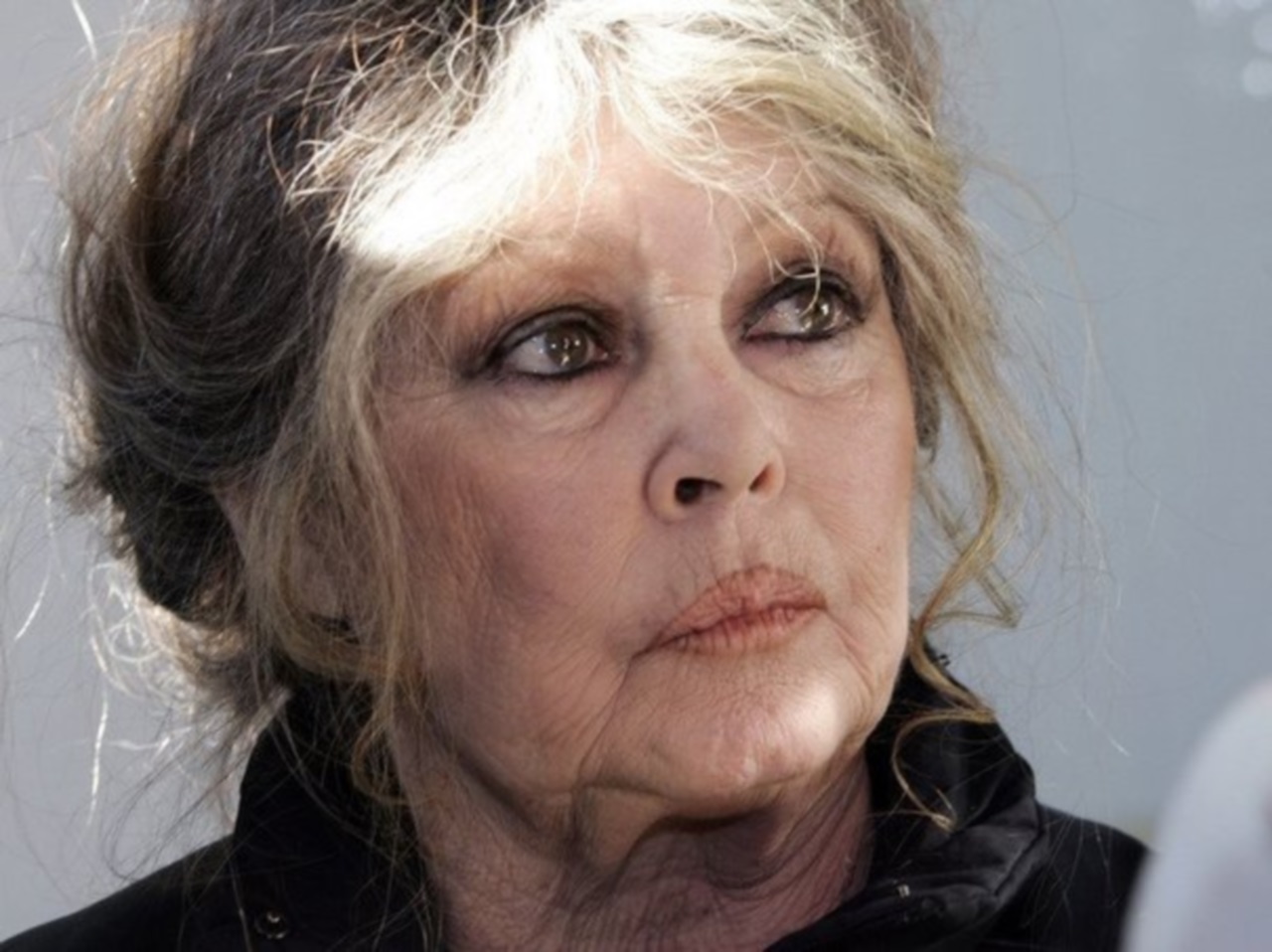 Rhône : Brigitte Bardot veut aider la petite vache qui ne voulait pas mourir - brigitte-bardot