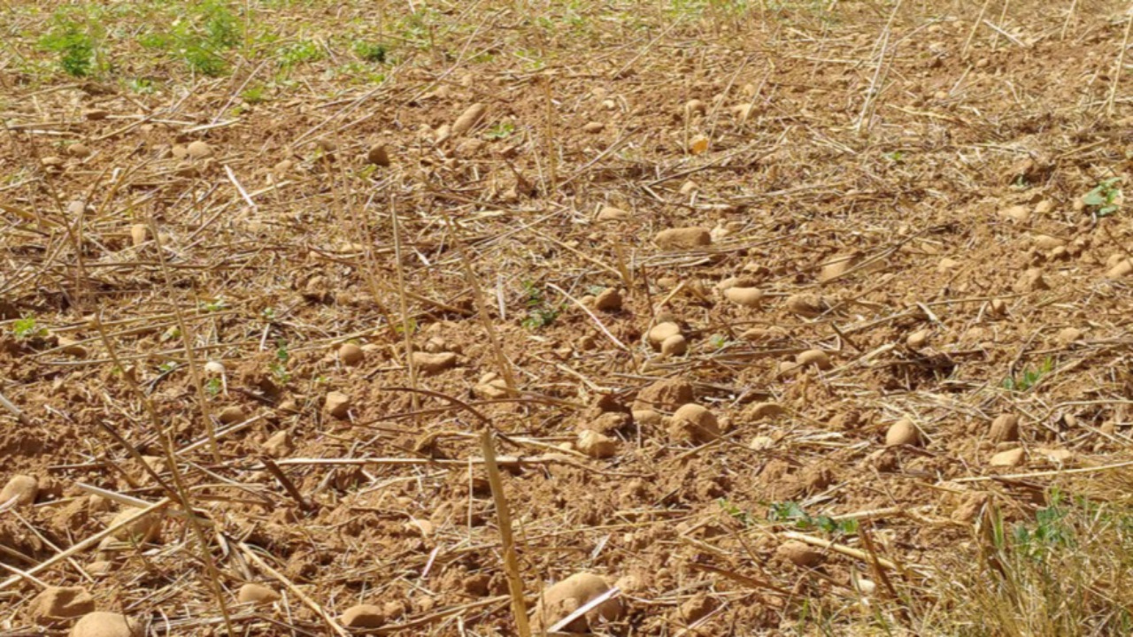 The state of natural disaster recognized in two communes of the Rhône after landslides