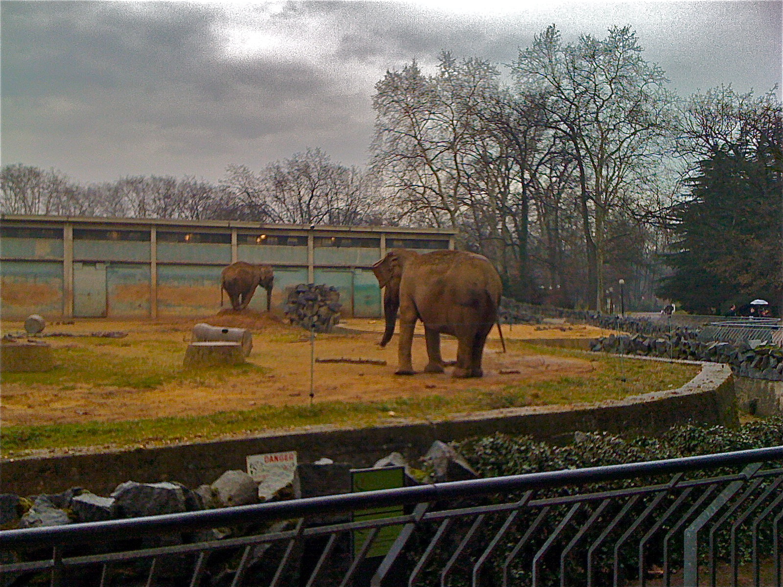 Il ny aura bientôt plus déléphants au Parc de la Tête dOr