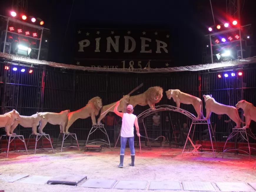 VLOG - CIRQUE PINDER - Nouveau SPECTACLE en famille & premier cirque pour  Amantine ! 