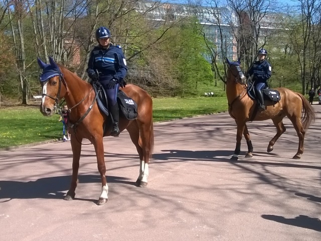 Bientôt une police équestre à Lyon